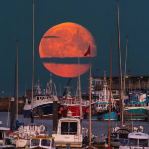 "Orange full moon rising over a twilight harbor filled with docked boats, captured with telephoto compression to emphasize scale and atmosphere."